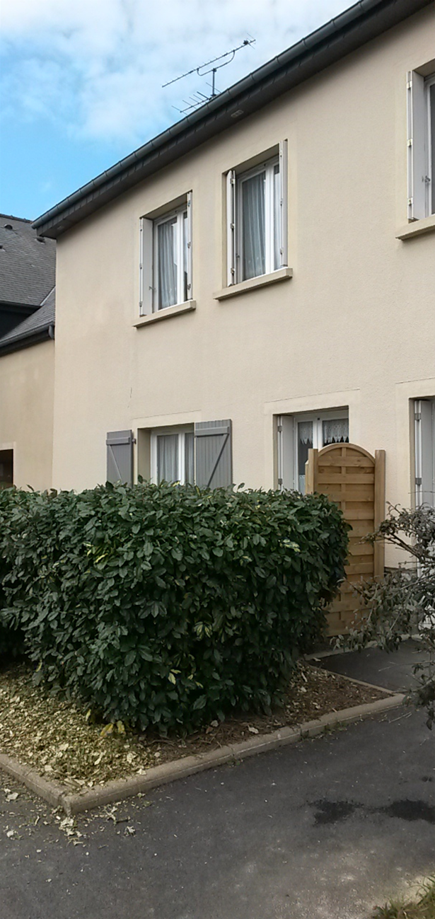 Image4