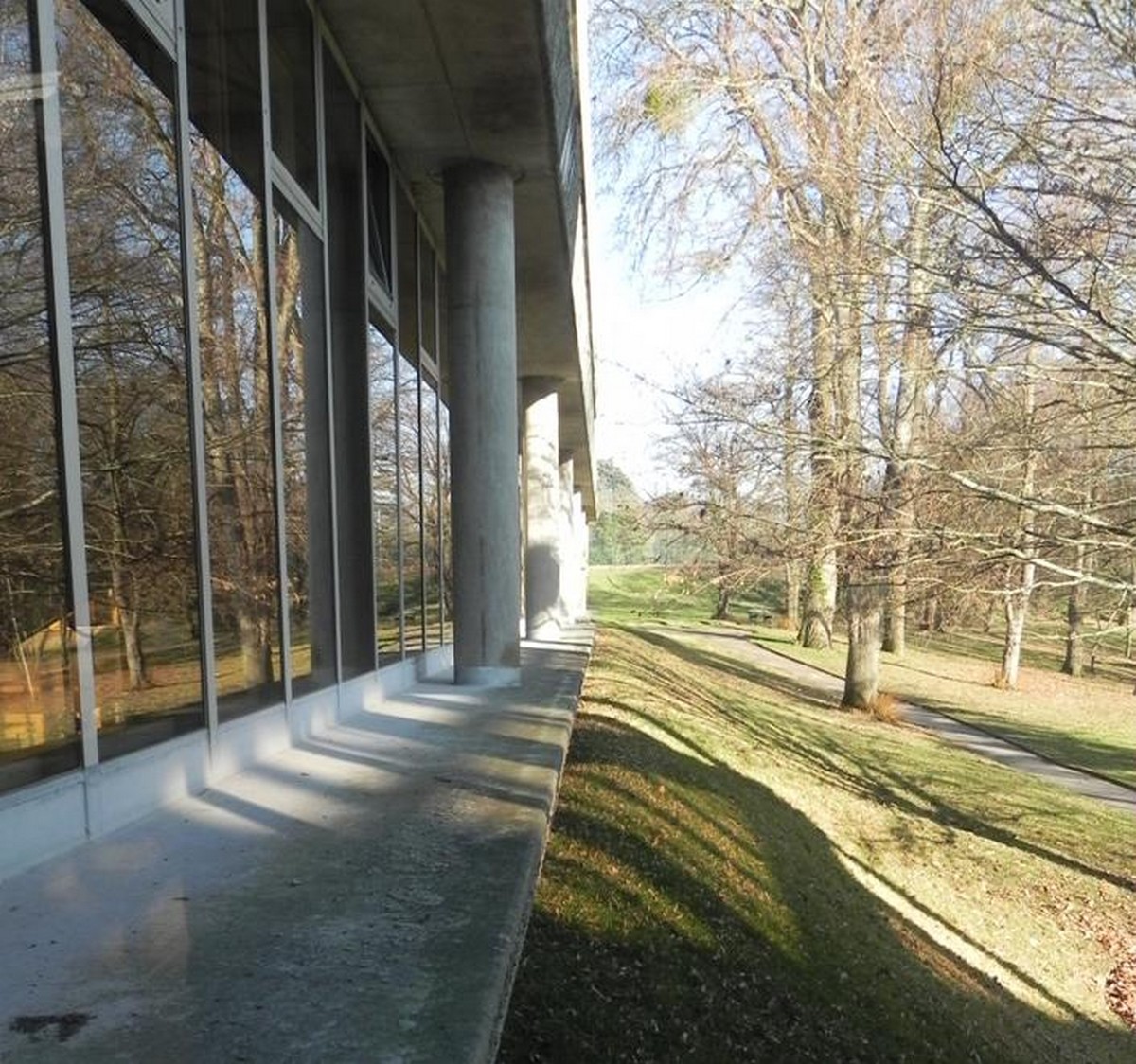 Image6